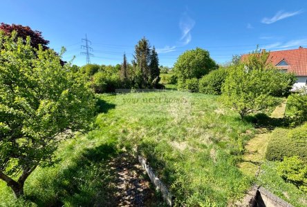 Großer Garten mit vielen Möglichkeiten