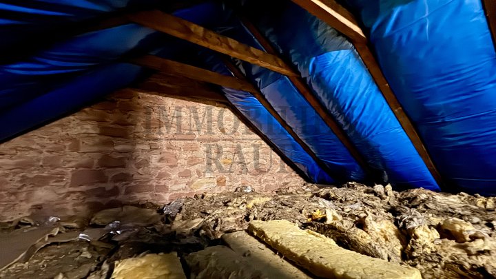 FAMILIENFREUNDLICHES UND GEPFLEGTES 1 FAMILIENHAUS MIT GROSSEM GARTEN IN RENTRICH