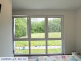 Blick ins Grüne