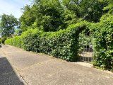 Tor zum Wald