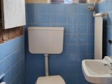 Gäste-WC mit Fenster im Erdgeschoss