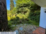 Blick in den Garten
