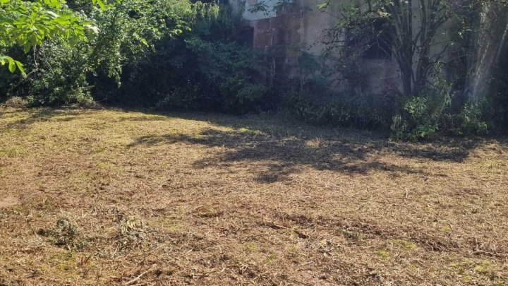 Großes schön gelegenes Grundtsück nahe an der Prims in Wadern-Büschfeld zu verkaufen