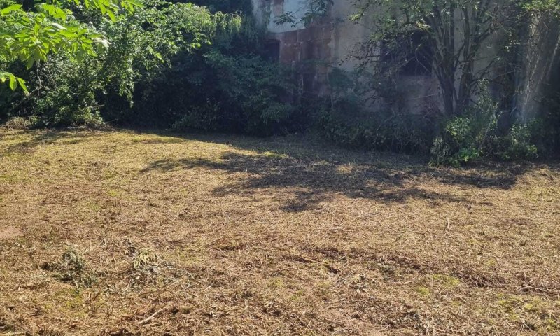 Großes schön gelegenes Grundtsück nahe an der Prims in Wadern-Büschfeld zu verkaufen