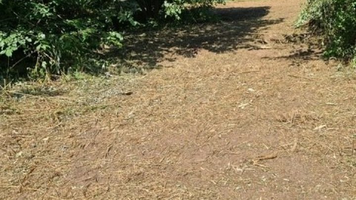 Großes schön gelegenes Grundtsück nahe an der Prims in Wadern-Büschfeld zu verkaufen