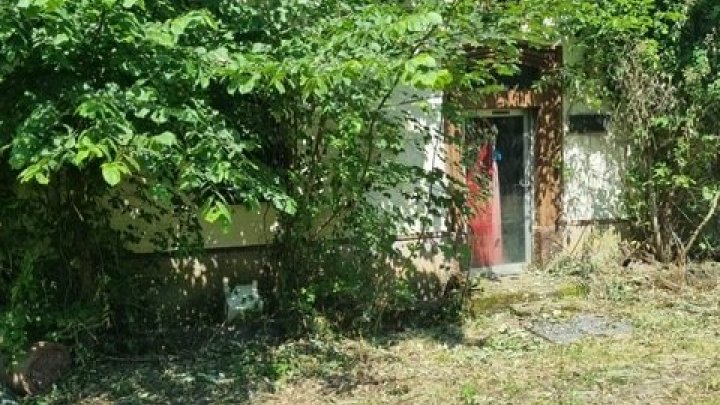 Großes schön gelegenes Grundtsück nahe an der Prims in Wadern-Büschfeld zu verkaufen