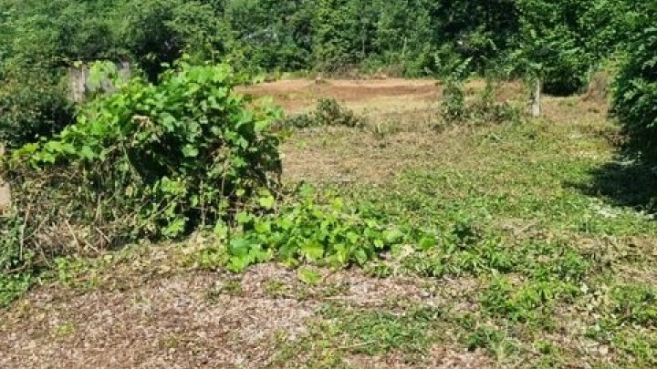 Großes schön gelegenes Grundtsück nahe an der Prims in Wadern-Büschfeld zu verkaufen