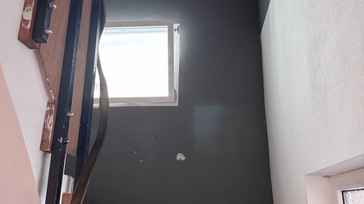 Freistehendes Zweifamilienhaus mit großem Grundstück - ideal für Tierliebhaber