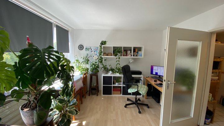 Schönes 1. Zimmer Apartment SB Innenstadt mit großzügiger Belichtung/Aufzug