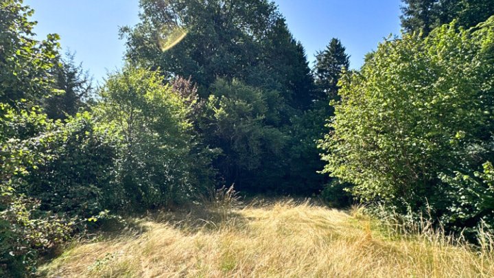 EFH mit Garten in bevorzugter Waldrandlage auf der Unner