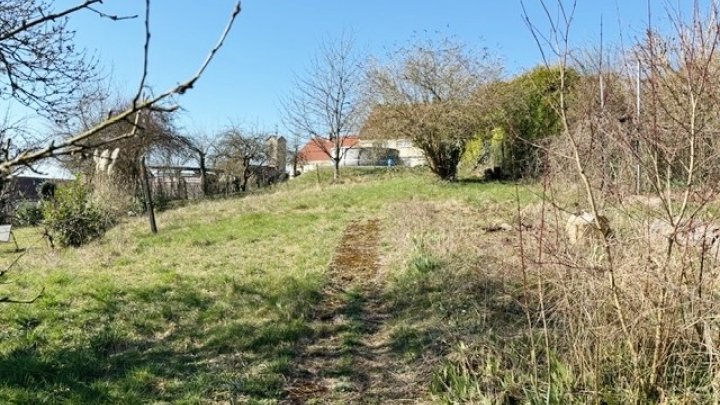 Freist. 1-2 FH mit Garten + Garage im idyllischen Mbt.