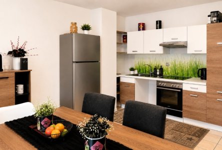 2a Wohnung OG Schönes Wohn- und Esszimmer mit offener Küche und Zugang zu Terrasse und Garten neu