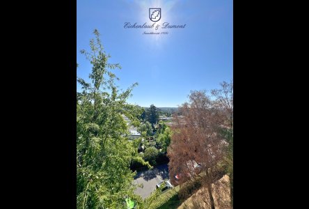 Ausblick