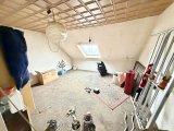 Zimmer DG