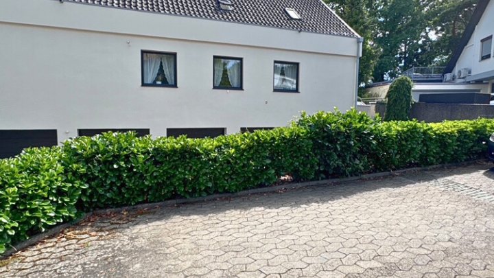 Wohnung/Büro mit eigenem Eingang in Spitzen-Lage auf dem Rotenbühl