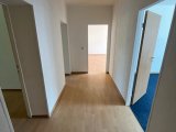 IMG_6919