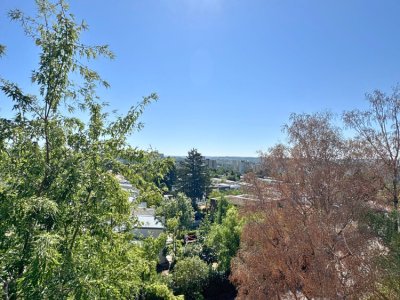 Ausblick