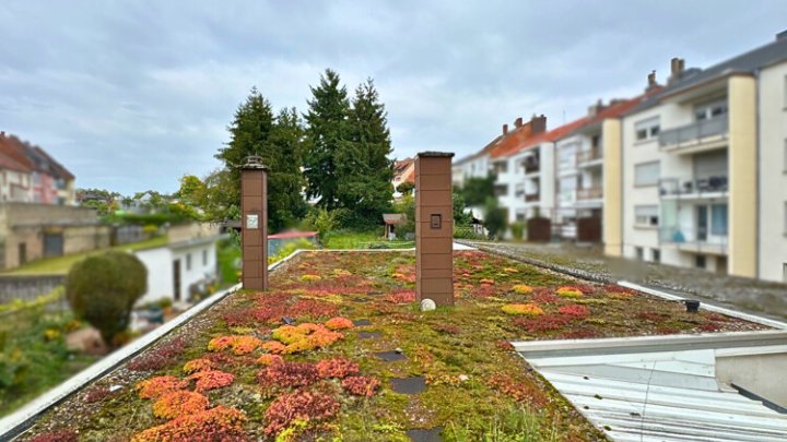 Großzügiges Wohn- und Geschäftshaus, 410m² Gesamtfläche in ruhiger Seitenstraße