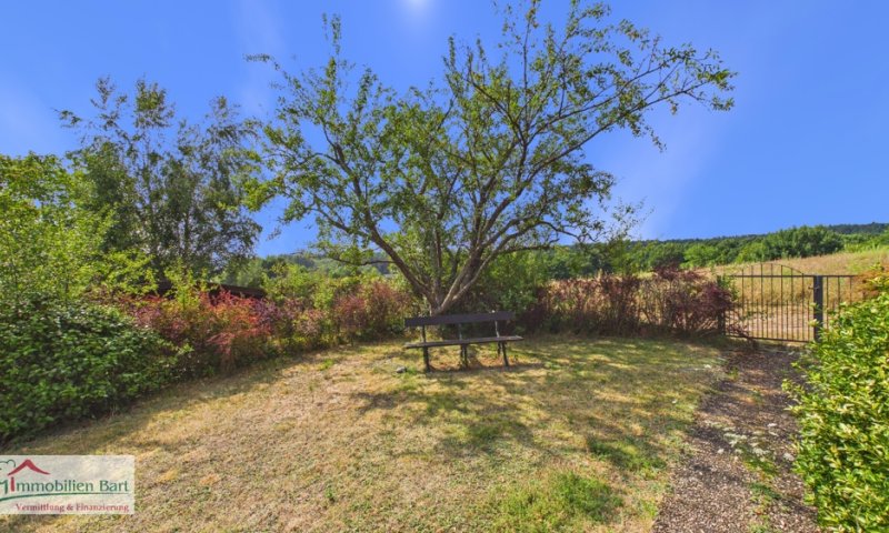 LOSHEIM: NATUR PUR! CHARMANTES WOHNHAUS MIT GARTEN UND SCHÖNER AUSSICHT INS GRÜNE!