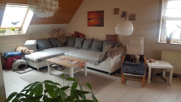 Kapitalanlage Bergkamen: Zwei MFH mit 8 Wohneinheiten auf 1.300 m² Grundstück