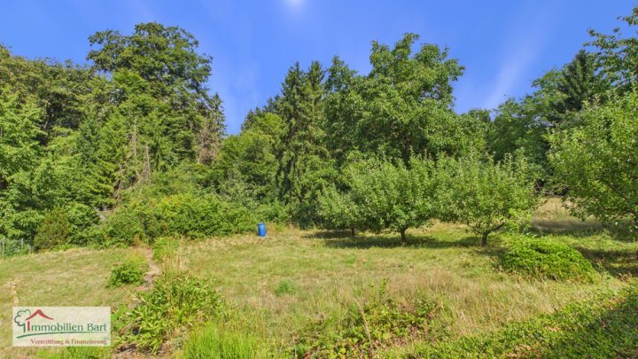 GRENZNÄHE: WOHNHAUS MIT 2 WOHNUNGEN / TOP LAGE AM WALDRAND IN FREUDENBURG!