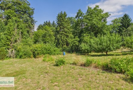 Garten und Zugang zum Wald