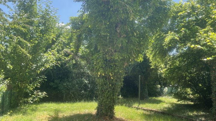 1- Fam. Haus  mit Garten und Garage in Sulzbach-Neuweiler!
