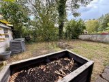Blick in den Garten