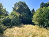 Gartenansicht