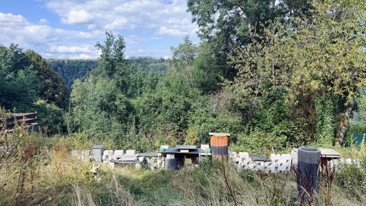 Handwerkerhaus mit Terrasse, Garten und Blick ins Grüne in Wallerfangen-OT zu verkaufen