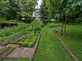 Nutzgarten (mit KI generiert)