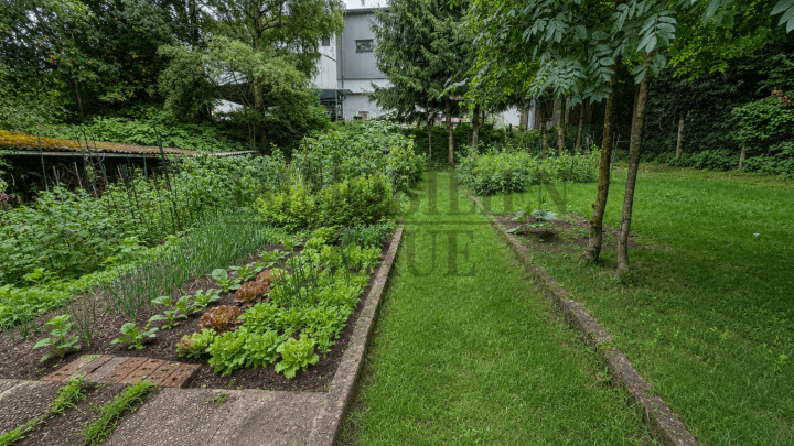 EIN ZUHAUSE FÜR DIE FAMILIE – FREISTEHENDES 1 FAM.-HAUS MIT GARTEN, TERRASSE UND GARAGE IN NEUWEILER