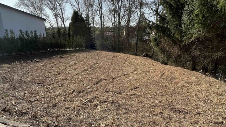 Baugrundstück in ruhiger Seitenstraße