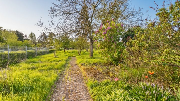 Haus für Handwerker und Renovierer