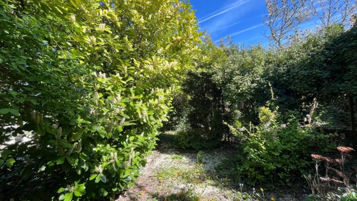 Hier entsteht Ihr neues Zuhause – mit Garten, Ruhe und vielen Möglichkeiten