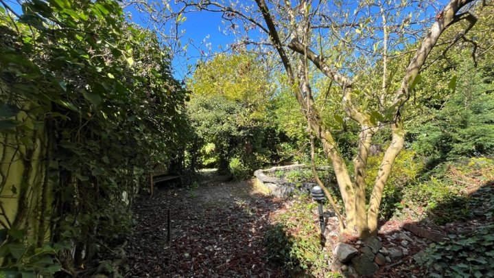 Hier entsteht Ihr neues Zuhause – mit Garten, Ruhe und vielen Möglichkeiten