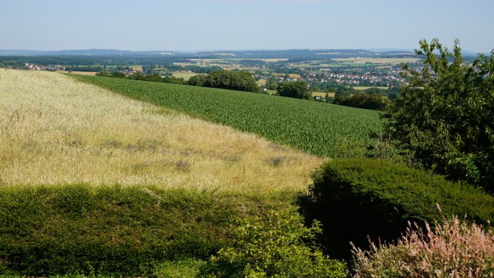 Wohnen mit Weitblick- exklusives Einfamilienhaus in bevorzugter Höhenlage