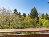 Blick in den Garten
