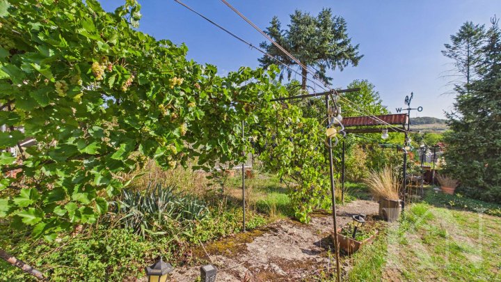 Ein- bis Zweifamilienhaus mit großem Grundstück, zwei Balkonen und Ausbaupotenzial in Gersheim!