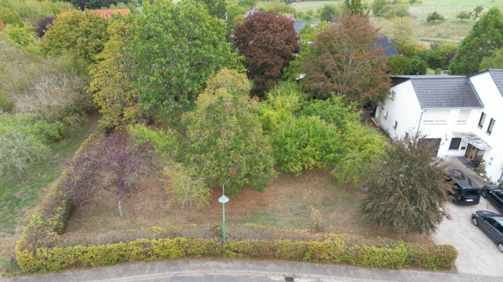 Großzügiges Grundstück mit Baumbestand in gefragter Wohnlage von Konz-Kommlingen