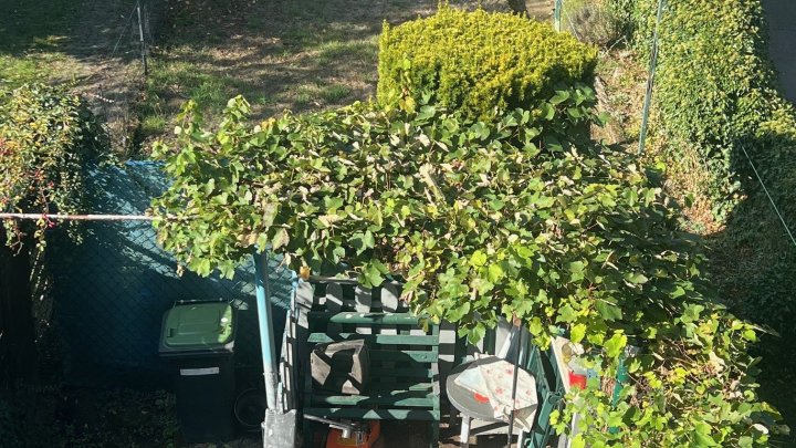  Sanierungsbedürftiges Reihenendhaus mit 2 Garagen in ruhiger Wohnsiedlung - Viel Platz und Gestaltungspotenzial in Völklingen-Ludweiler