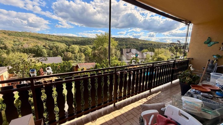 FREISTEHENDES 4-FAMILIENHAUS MIT 3 BALKONEN, TERRASSE, GARTEN & GARAGE IN SULZBACH