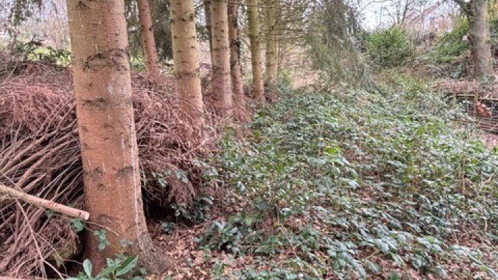 Erschlossenes Baugrundstück in bevorzugter Wohnlage von Riegelsberg