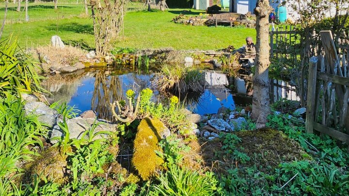 Freistehendes Zweifamilienhaus mit parkähnlichem Grundstück