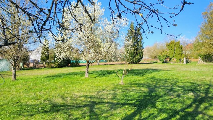 Freistehendes Zweifamilienhaus mit parkähnlichem Grundstück