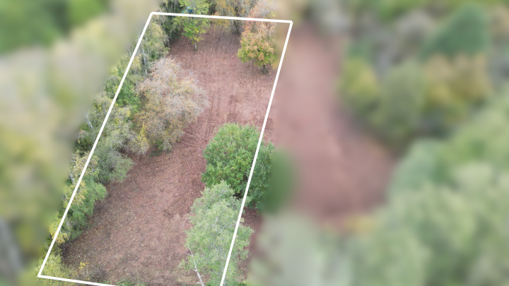 Dein Platz im Grünen – 1.985 m² Wochenendgrundstück in Schmelz