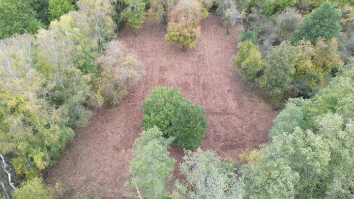 Dein Platz im Grünen – 1.985 m² Wochenendgrundstück in Schmelz