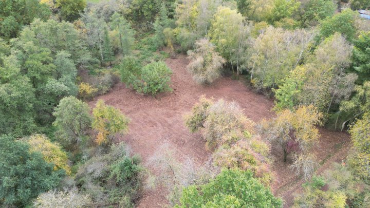 Dein Platz im Grünen – 1.985 m² Wochenendgrundstück in Schmelz