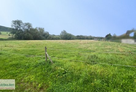 Grundstück