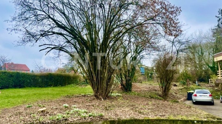 Tolle Lage - Baugrundstück in Neuweiler